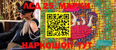 винт Можга
