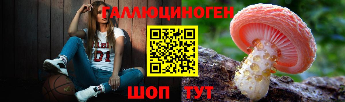 Галлюциногенные грибы прущие грибы  Вход с VPN  купить  сайты  Приморско-Ахтарск 